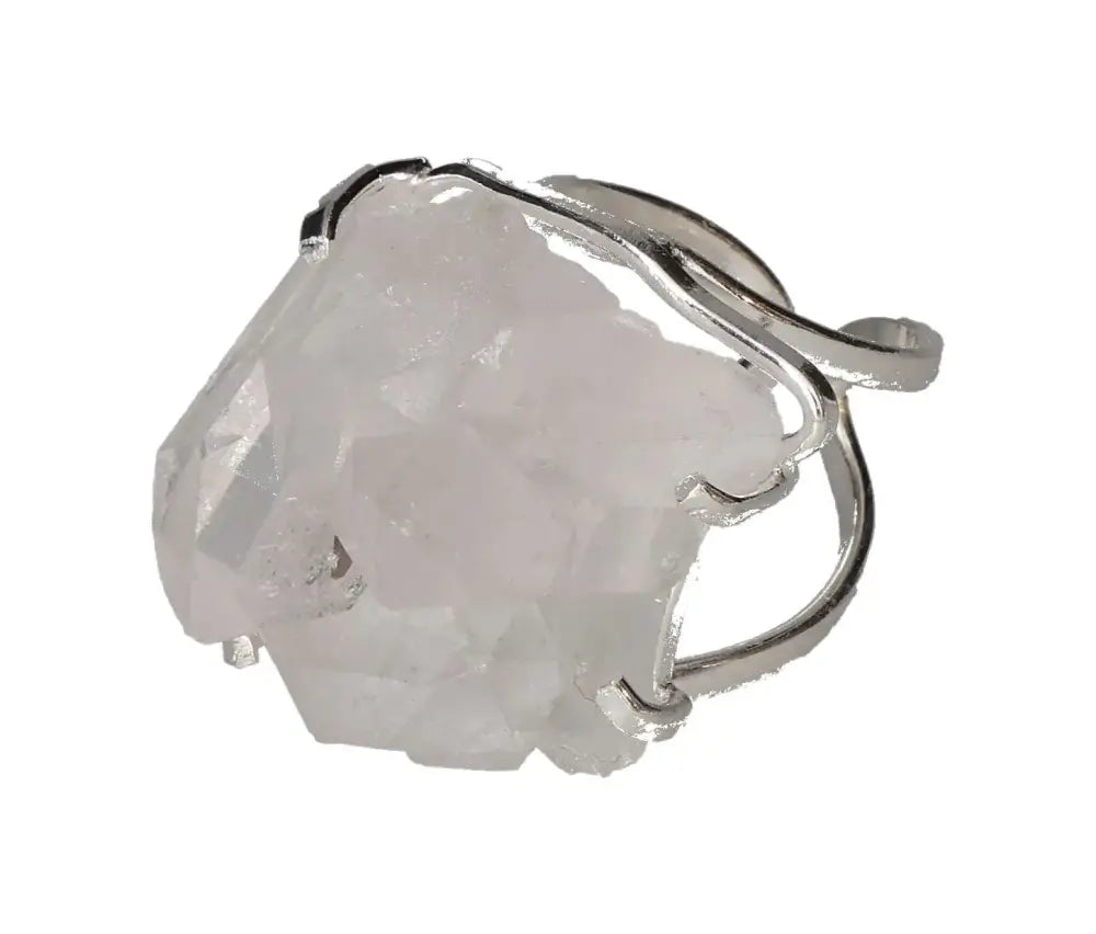 orbitvu|type:image2d