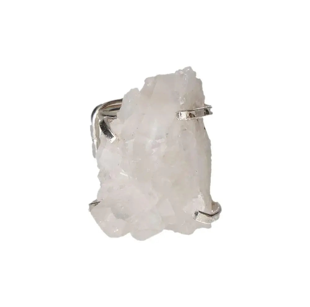 orbitvu|type:image2d