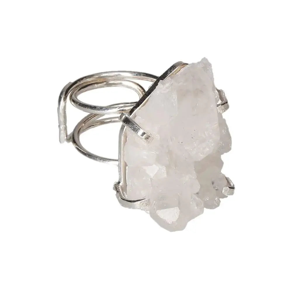 orbitvu|type:image2d