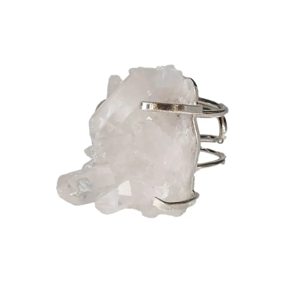 orbitvu|type:image2d