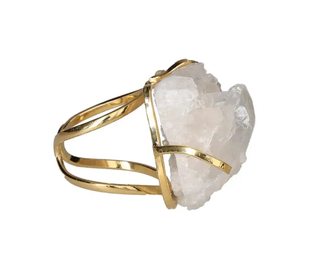 orbitvu|type:image2d