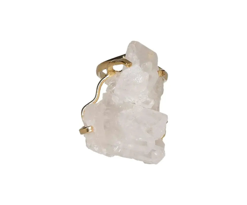 orbitvu|type:image2d