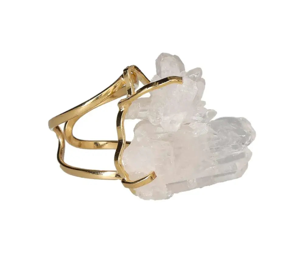 orbitvu|type:image2d