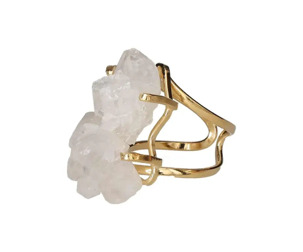 orbitvu|type:image2d