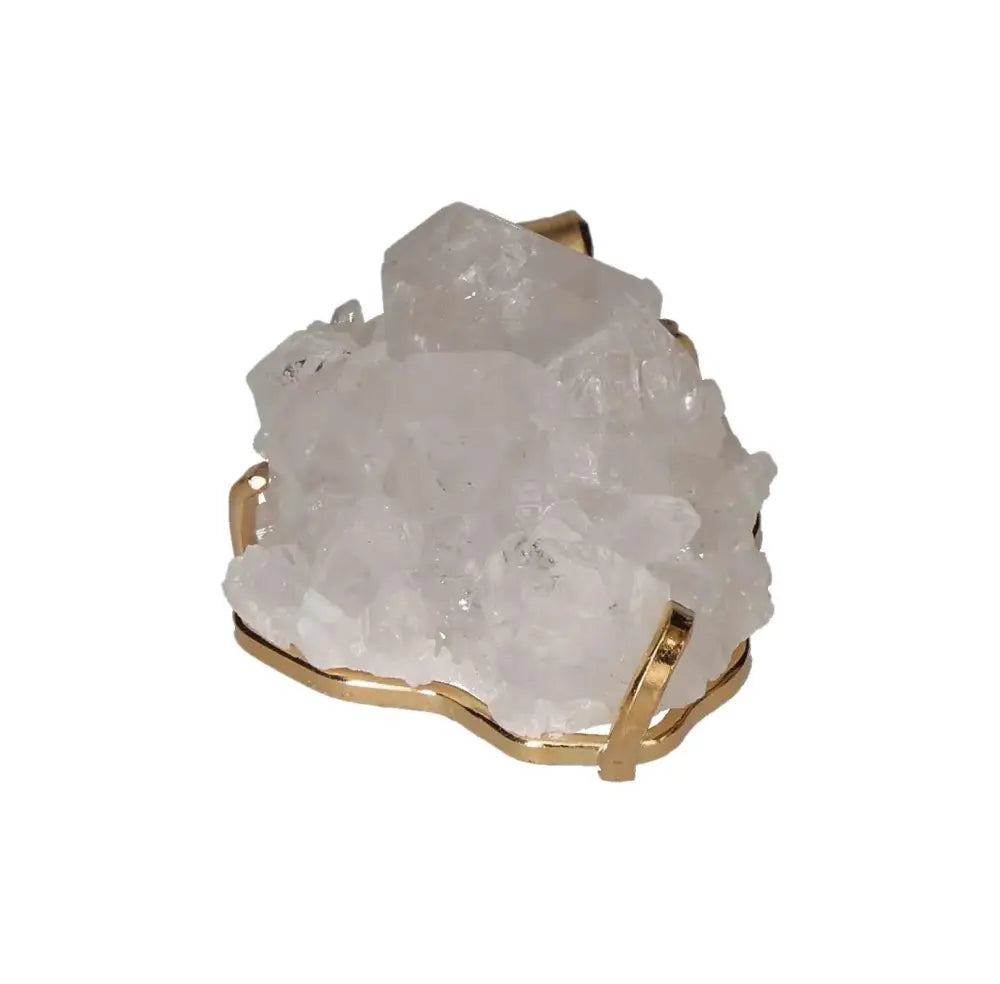 orbitvu|type:image2d