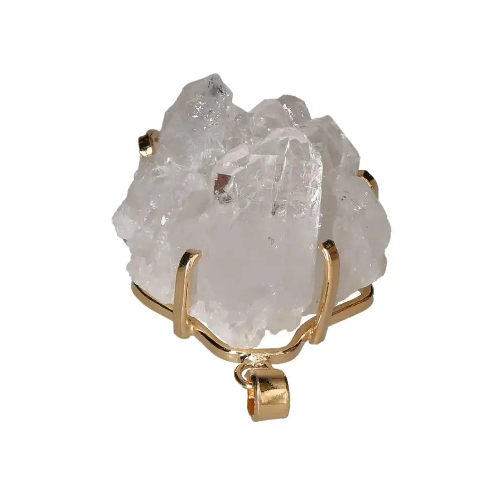 orbitvu|type:image2d