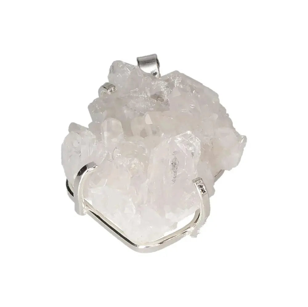 orbitvu|type:image2d