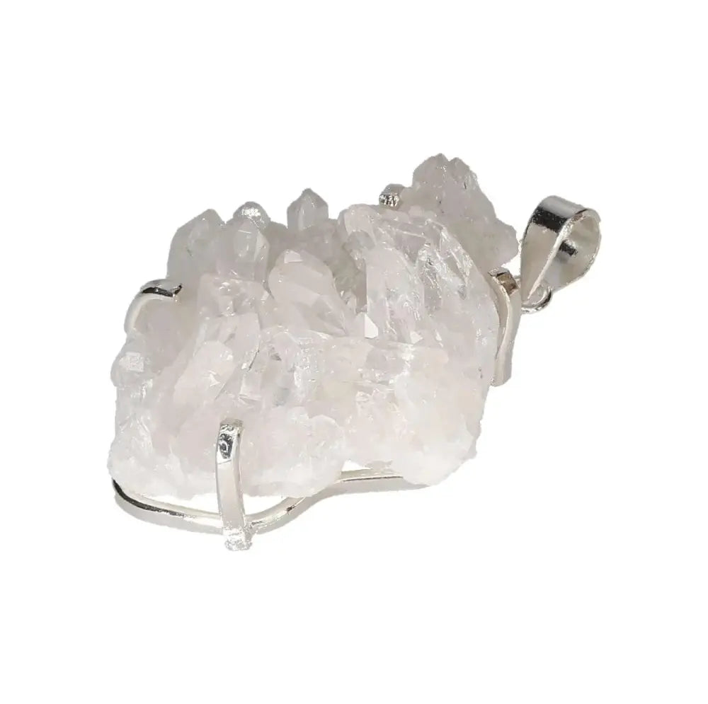 orbitvu|type:image2d