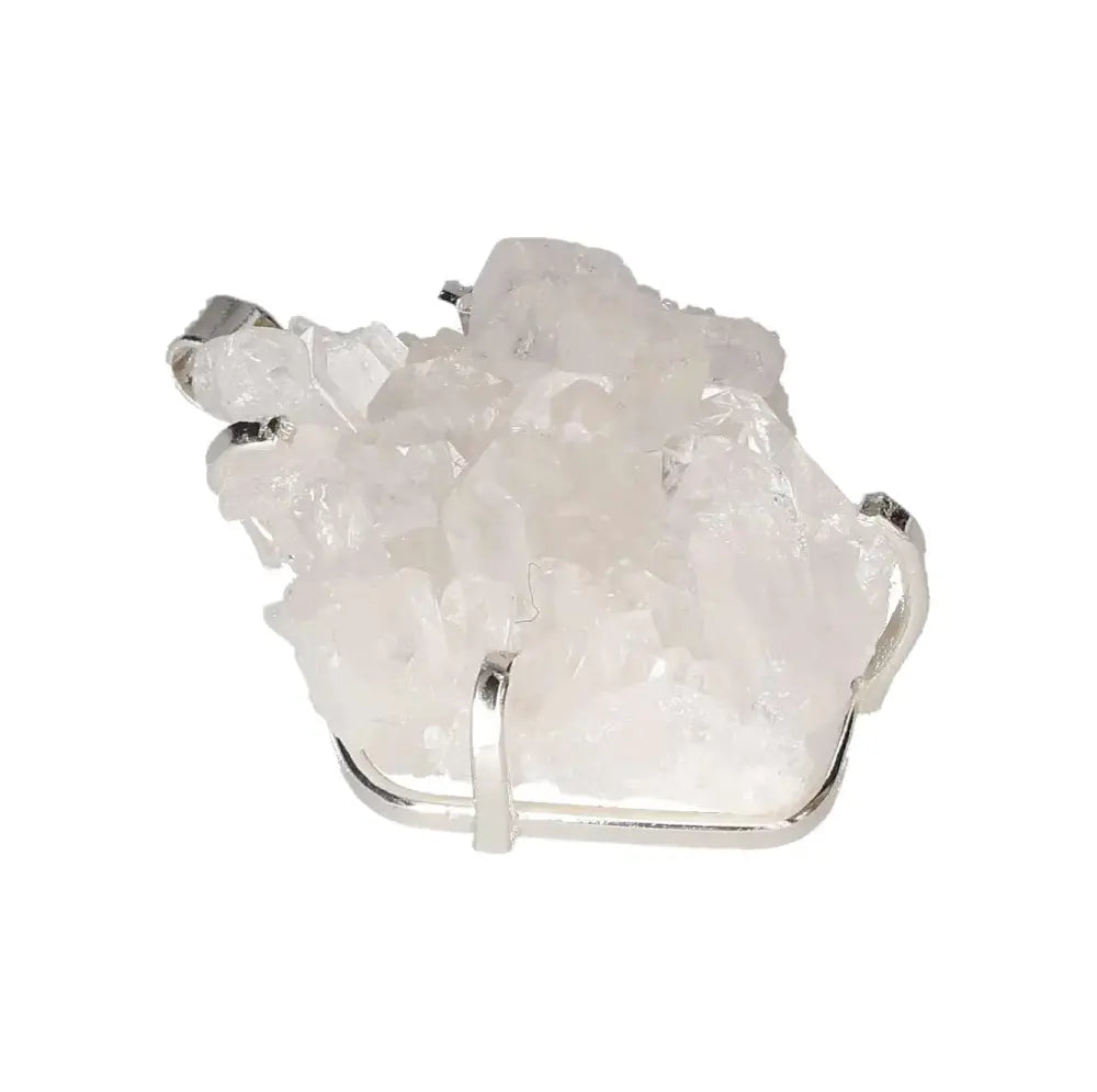 orbitvu|type:image2d