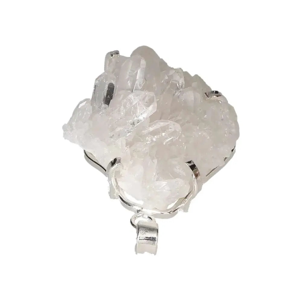 orbitvu|type:image2d