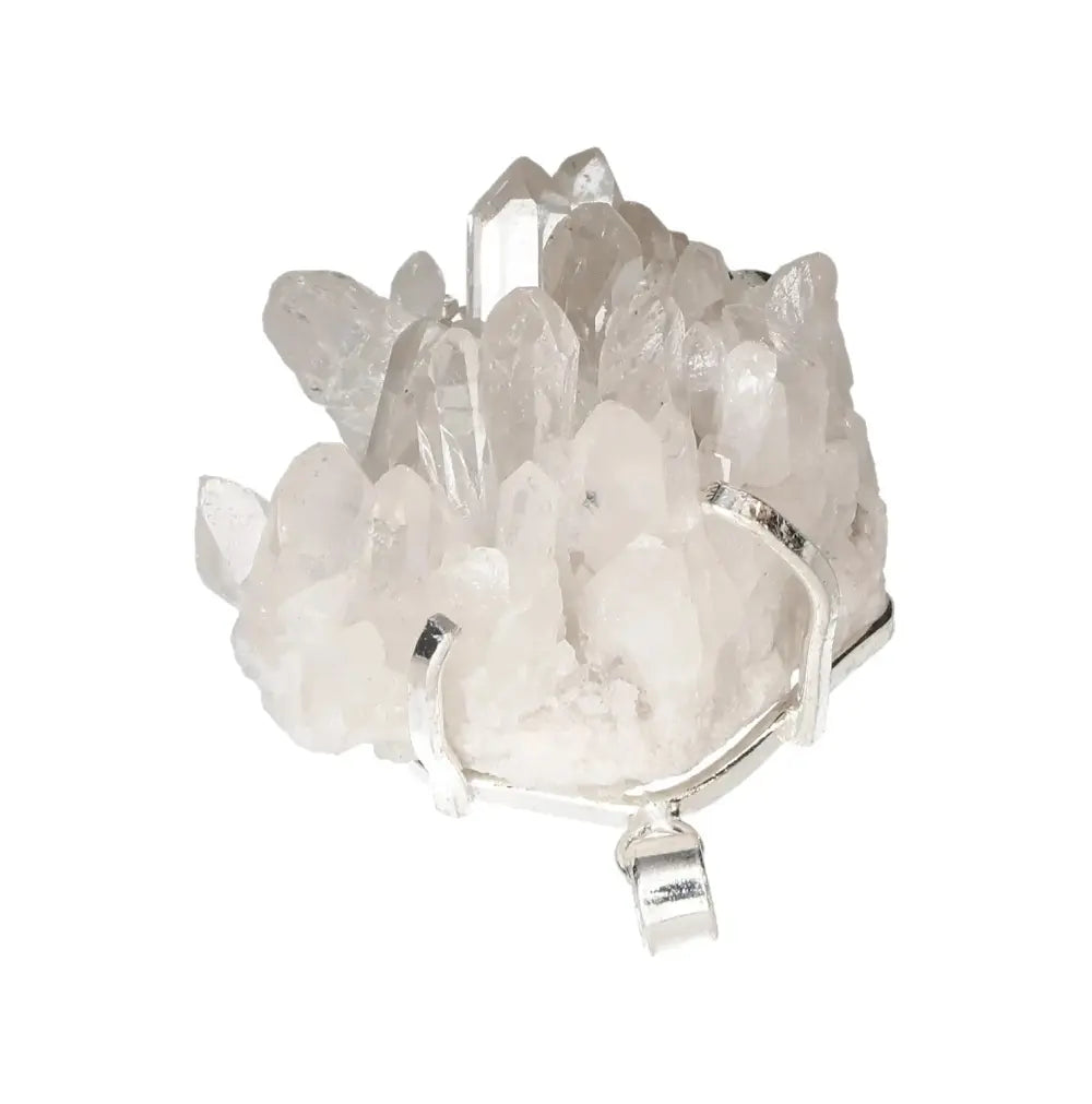 orbitvu|type:image2d