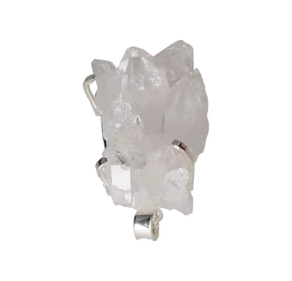 orbitvu|type:image2d