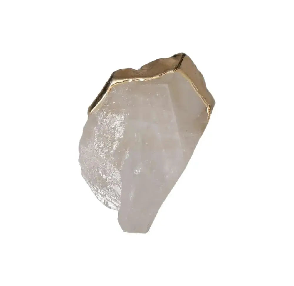 orbitvu|type:image2d