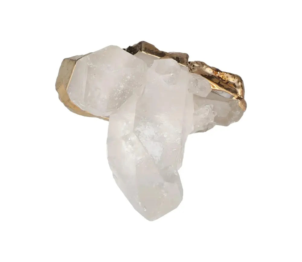 orbitvu|type:image2d