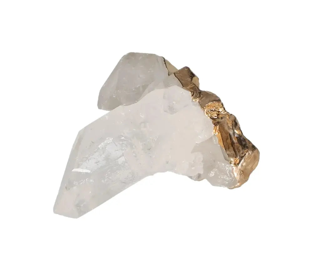 orbitvu|type:image2d