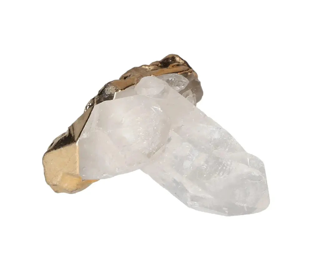 orbitvu|type:image2d