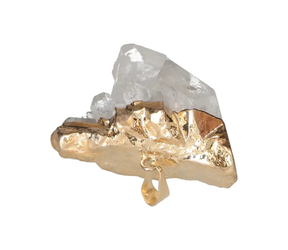 orbitvu|type:image2d