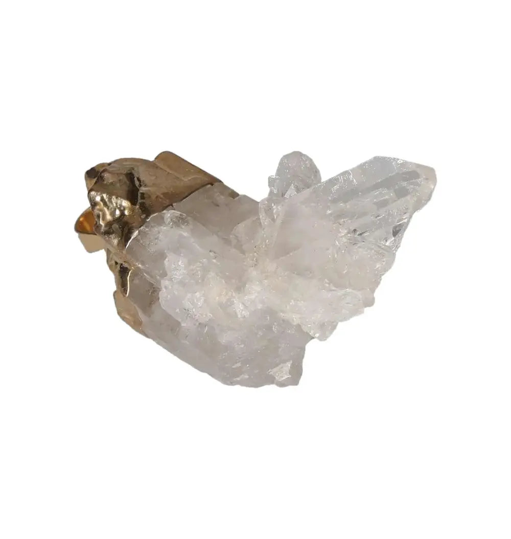 orbitvu|type:image2d