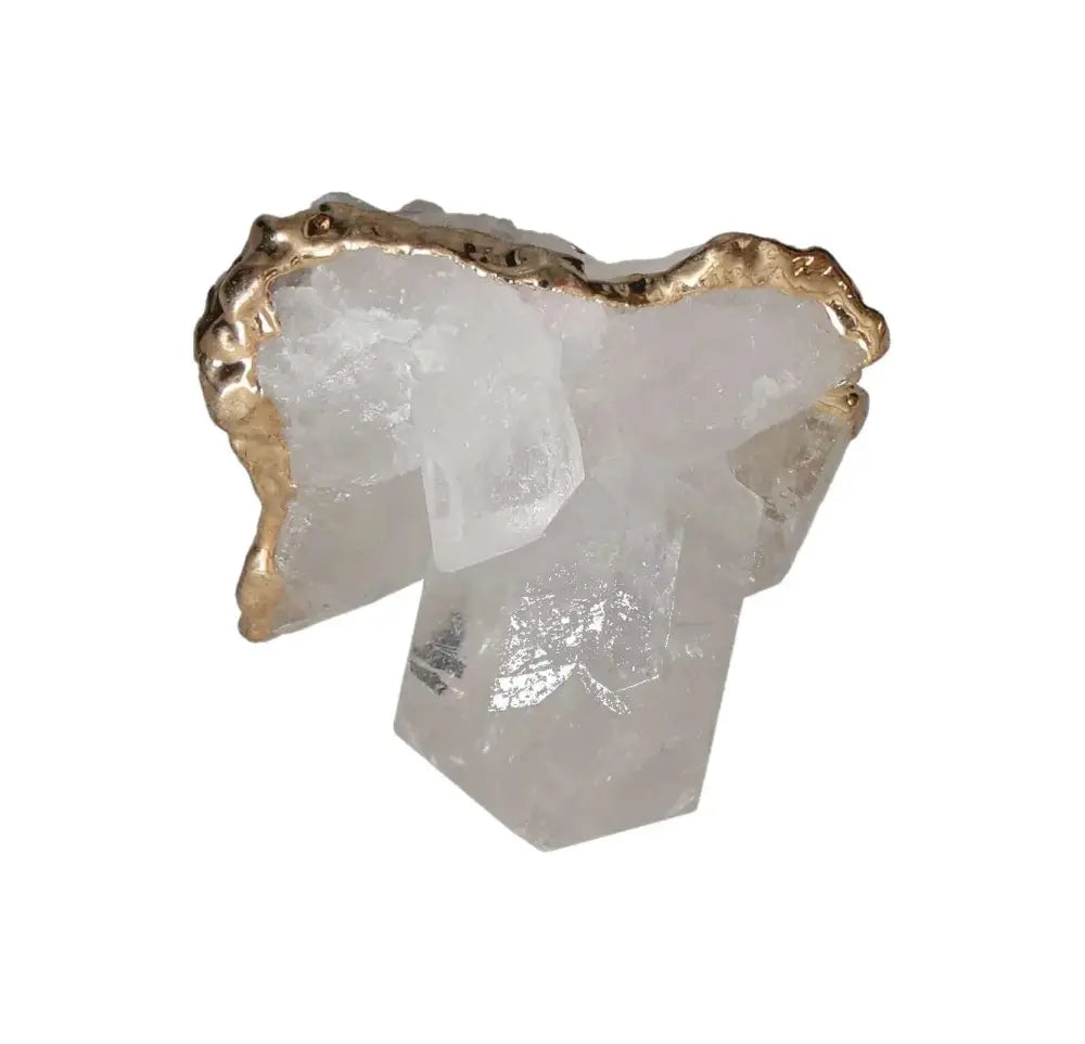 orbitvu|type:image2d