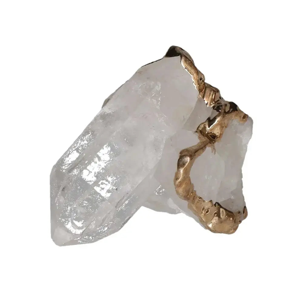 orbitvu|type:image2d