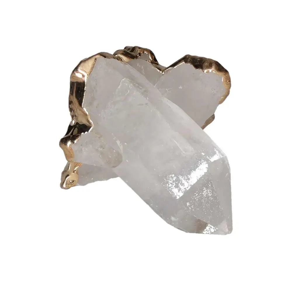 orbitvu|type:image2d