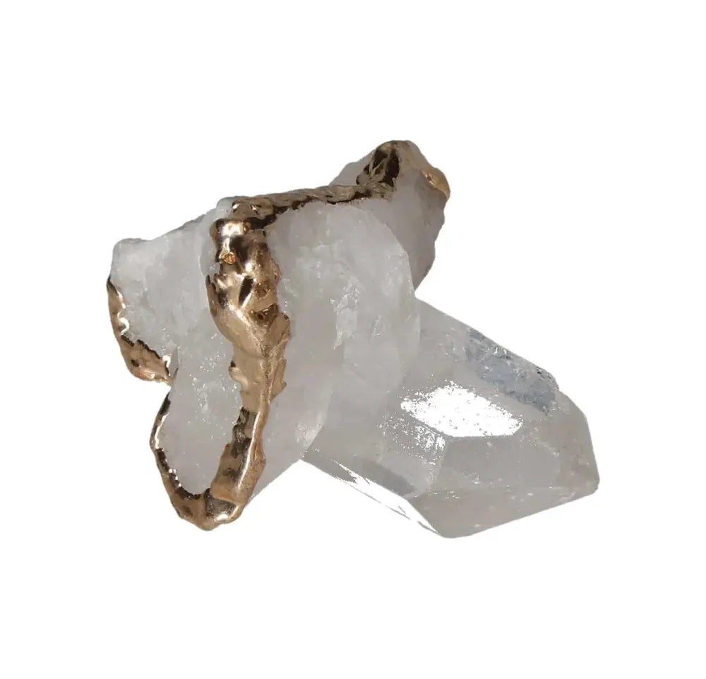 orbitvu|type:image2d