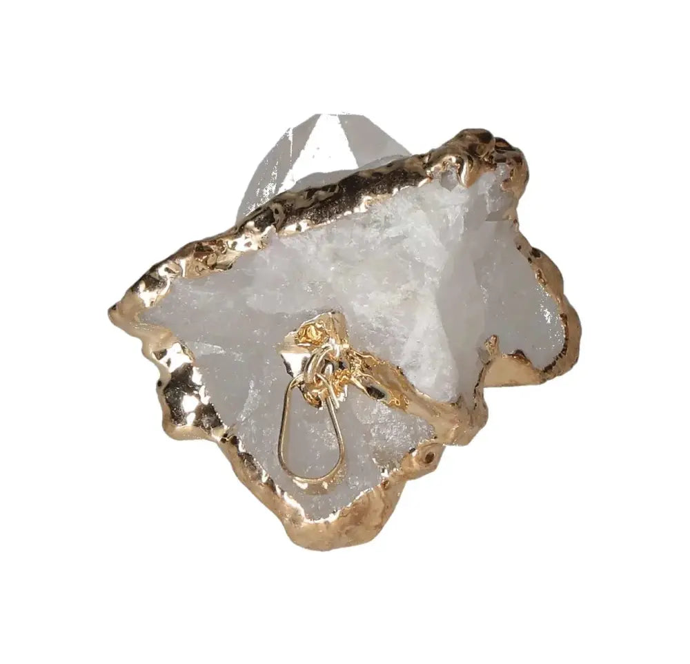 orbitvu|type:image2d