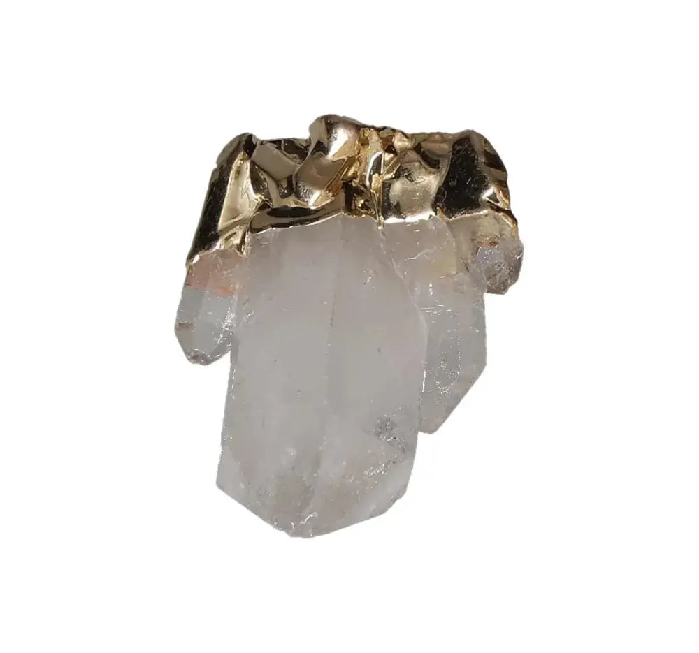 orbitvu|type:image2d