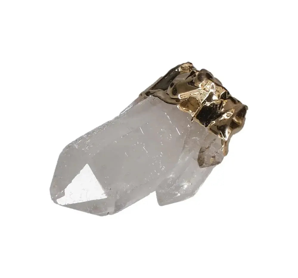 orbitvu|type:image2d