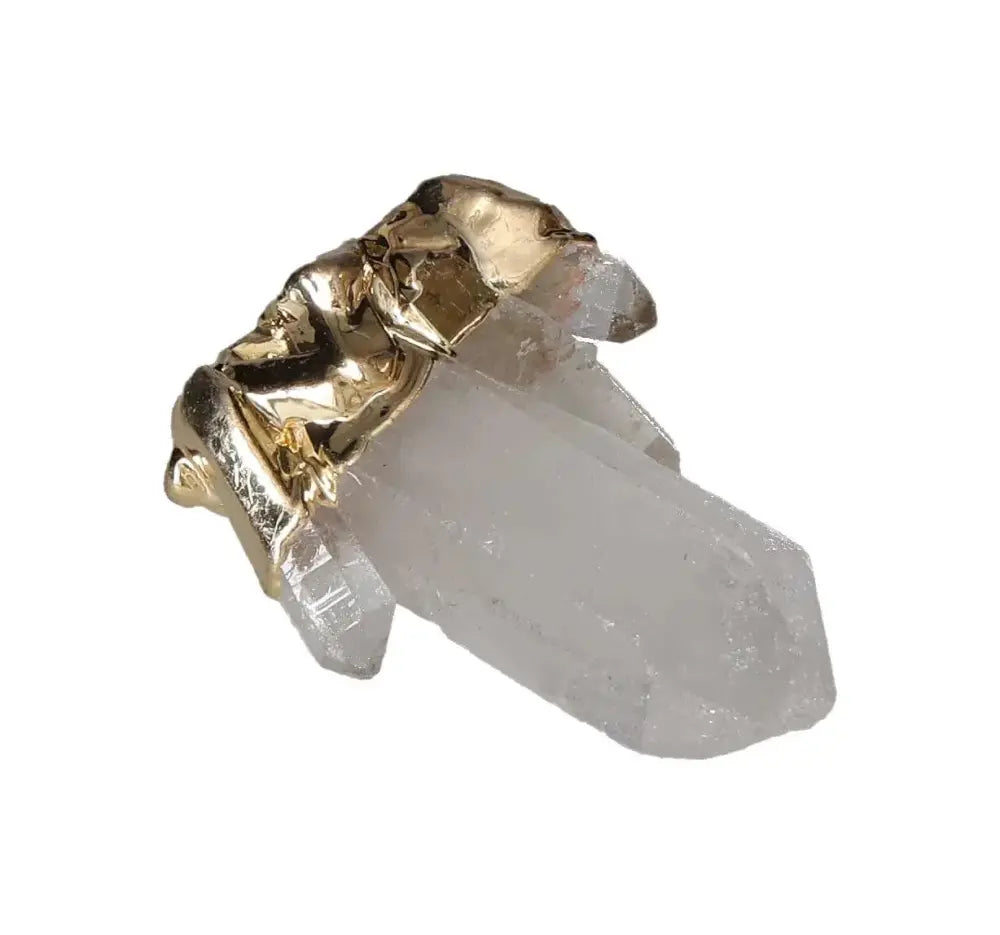 orbitvu|type:image2d