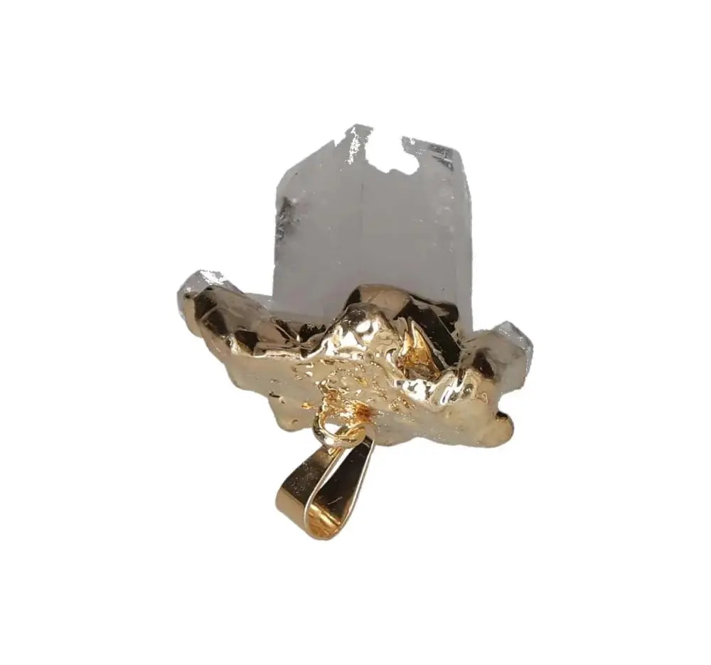 orbitvu|type:image2d