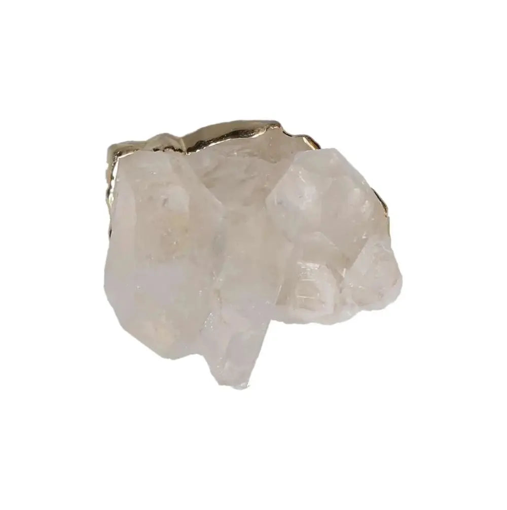 orbitvu|type:image2d