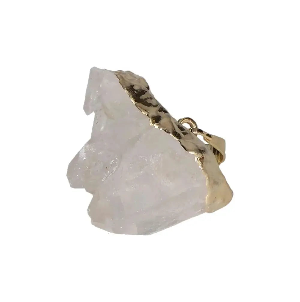 orbitvu|type:image2d