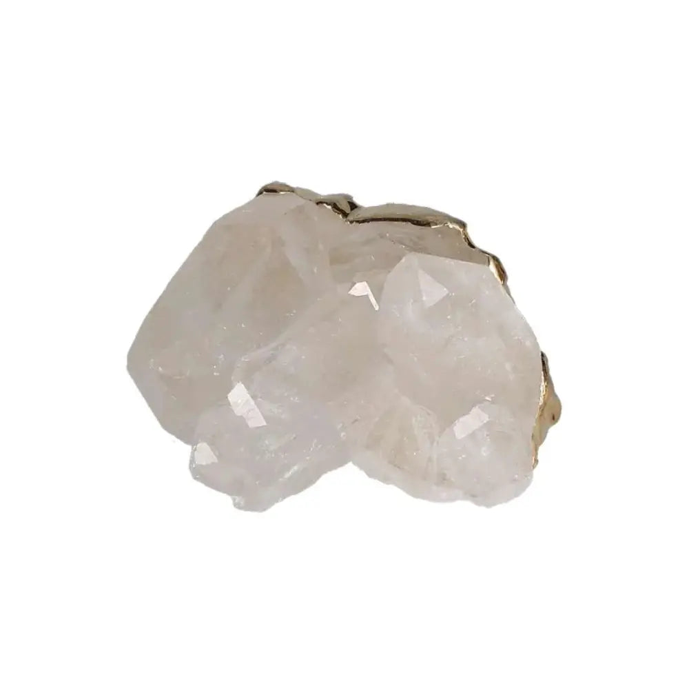 orbitvu|type:image2d