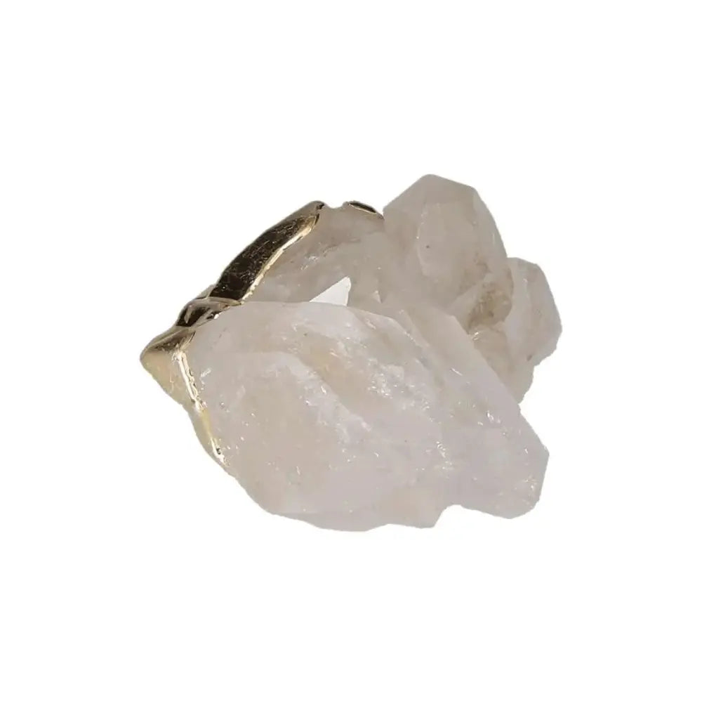 orbitvu|type:image2d