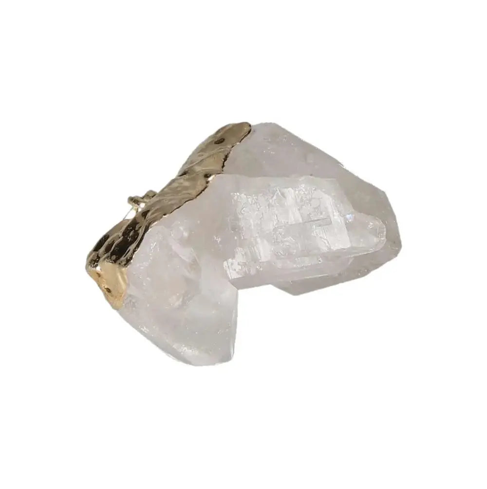 orbitvu|type:image2d