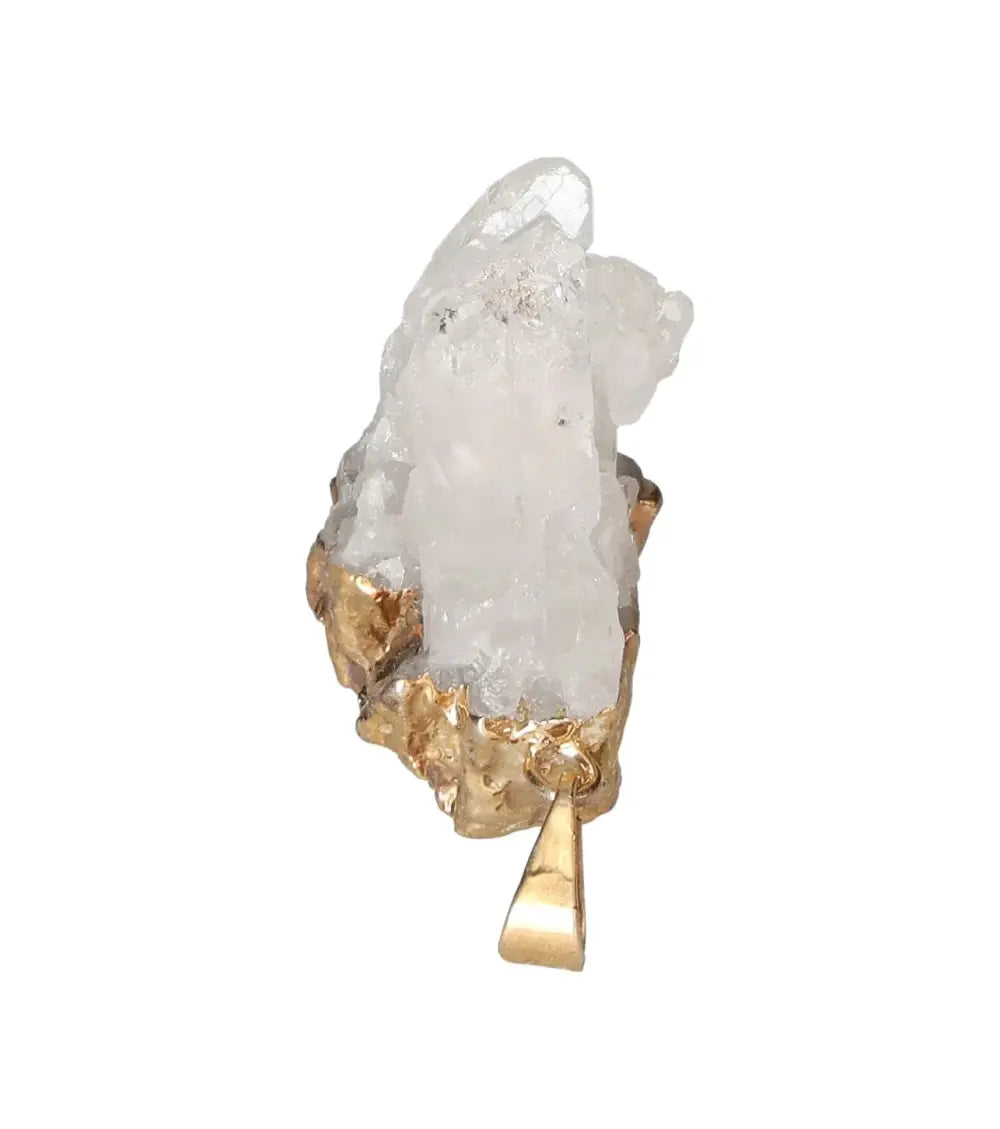 orbitvu|type:image2d