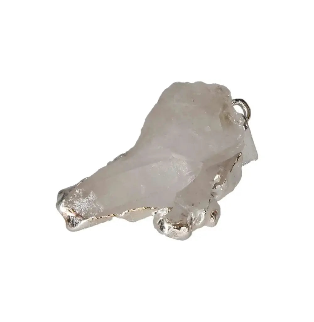 orbitvu|type:image2d