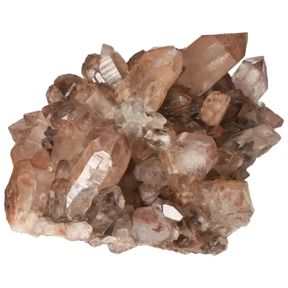 orbitvu|type:image2d