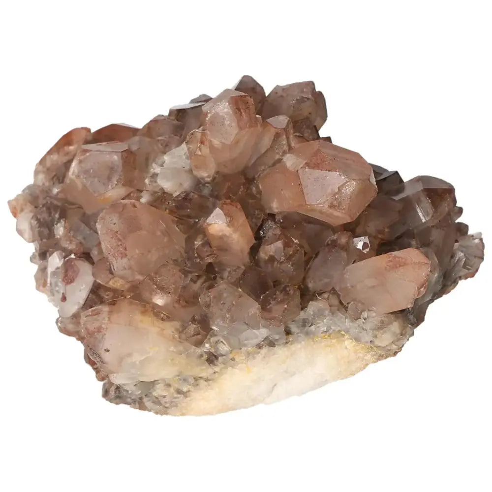 orbitvu|type:image2d