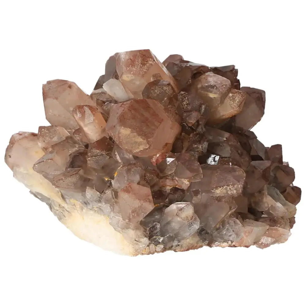 orbitvu|type:image2d