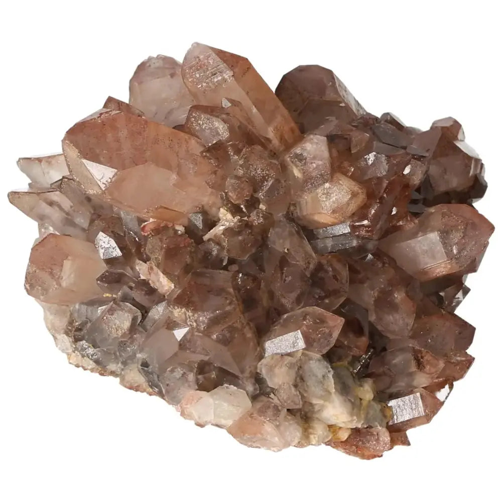 orbitvu|type:image2d