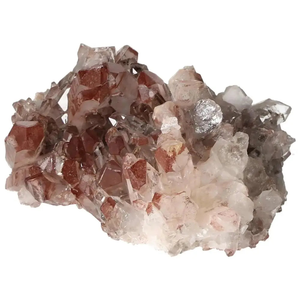 orbitvu|type:image2d