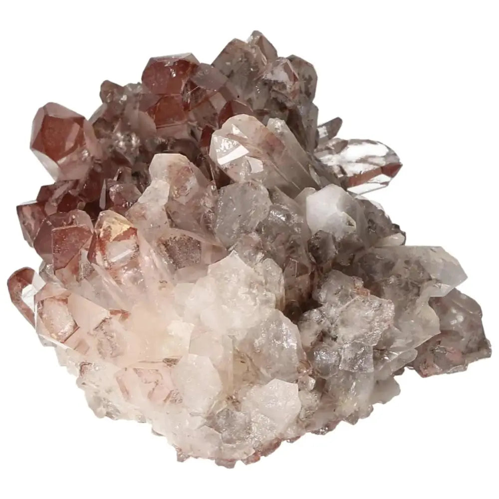 orbitvu|type:image2d