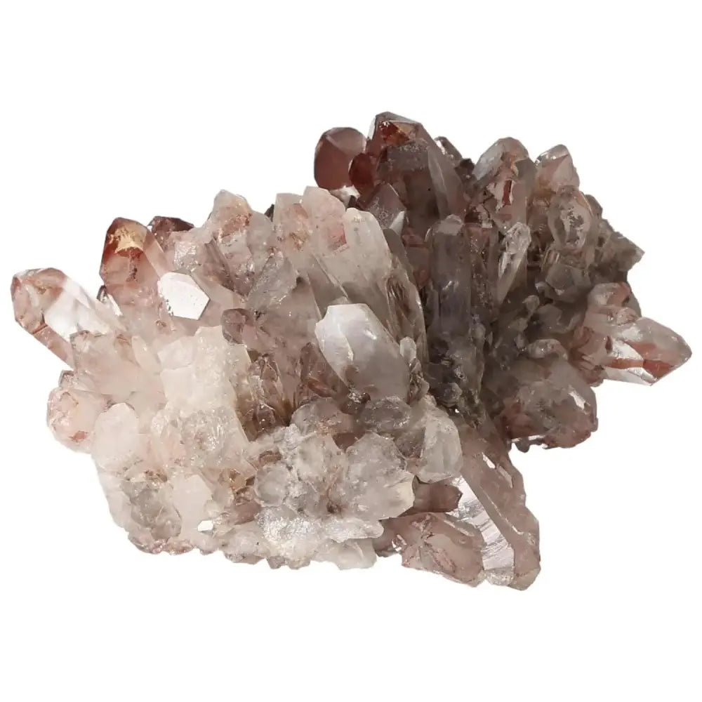 orbitvu|type:image2d