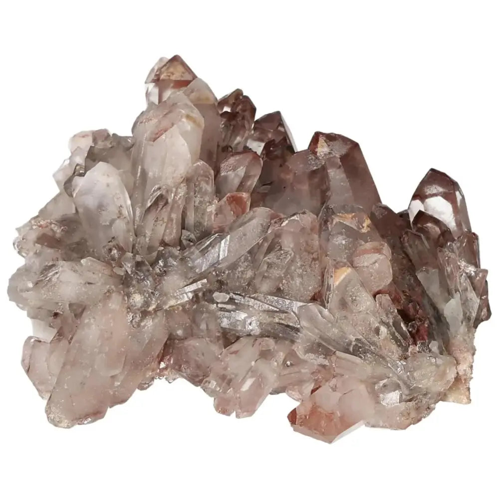 orbitvu|type:image2d