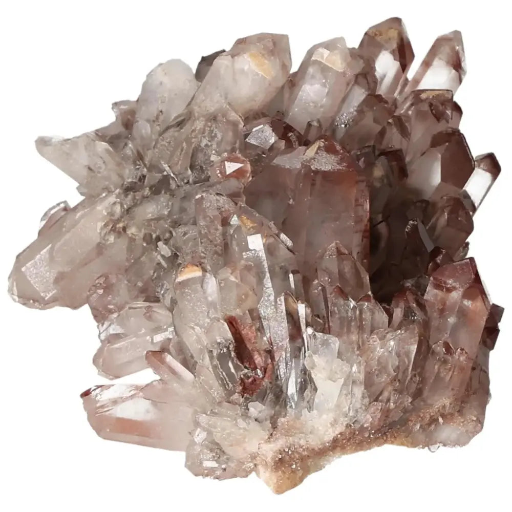 orbitvu|type:image2d