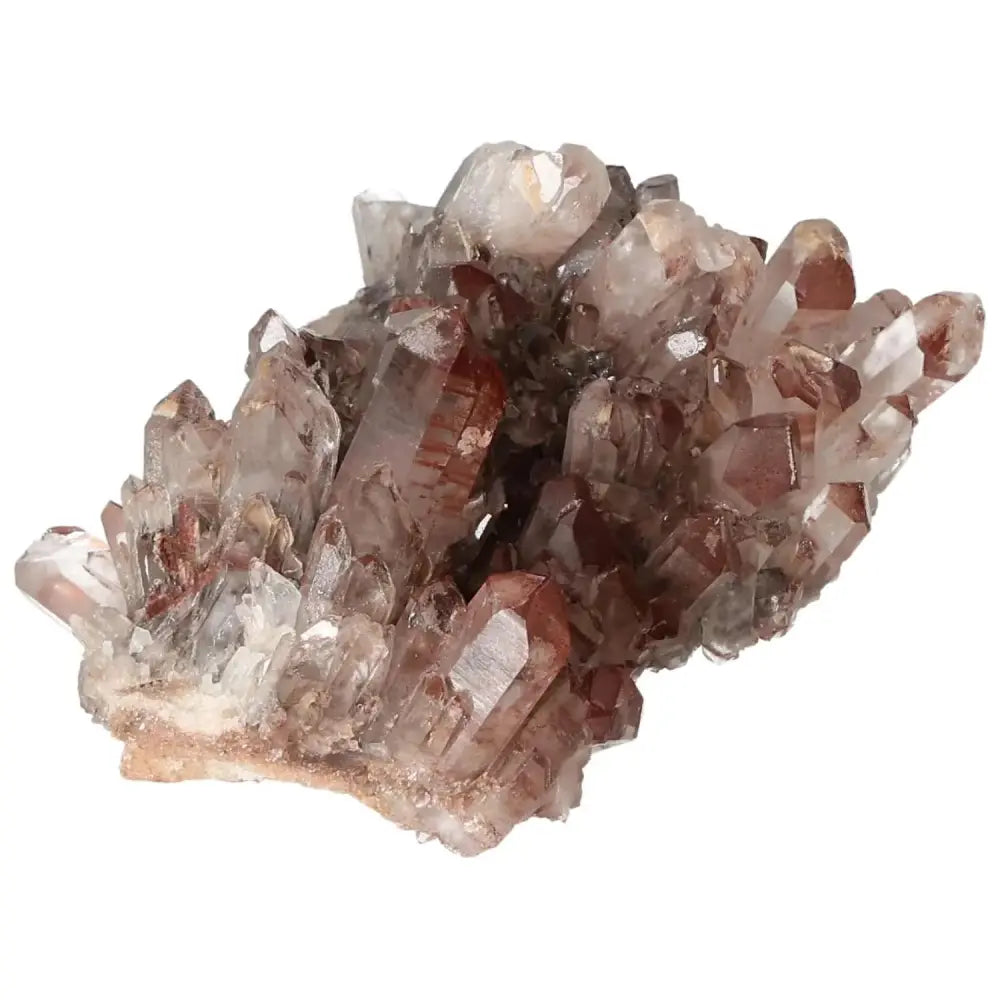 orbitvu|type:image2d