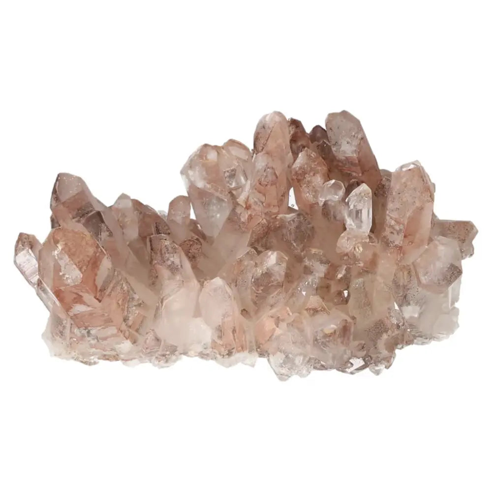 orbitvu|type:ORBITVU 360|https://orbitvu.co/share/TQu55JzQpAfrLnG8LQkPe5/6529429/360/iframe