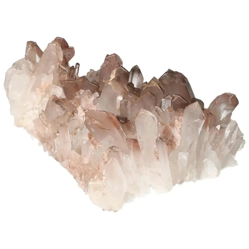 orbitvu|type:image2d